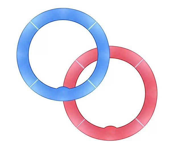 fosoto Blue and Red Color Filter Set For RL - 18 18"LED Ring Light and Dimmable Beauty Ring Light Lamp Effect Poster Advertisement - FOSOTOfosoto Blue and Red Color Filter Set For RL - 18 18"LED Ring Light and Dimmable Beauty Ring Light Lamp Effect Poster Advertisement